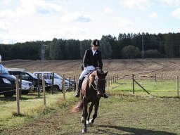 IMG_4202-015-redigeret